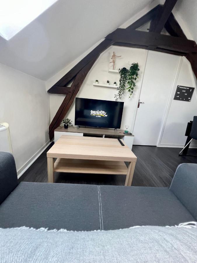 Bel Appartement Lumineux 35M2, Bord De Loire サン・ジャン・ル・ブラン砦 エクステリア 写真