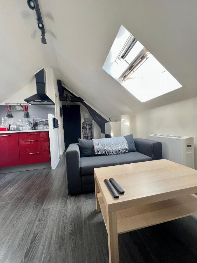 Bel Appartement Lumineux 35M2, Bord De Loire サン・ジャン・ル・ブラン砦 エクステリア 写真