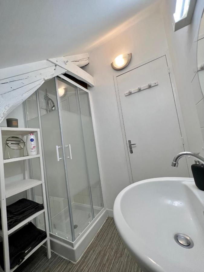 Bel Appartement Lumineux 35M2, Bord De Loire サン・ジャン・ル・ブラン砦 エクステリア 写真