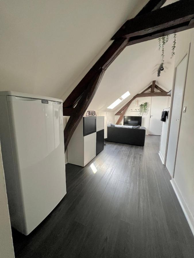 Bel Appartement Lumineux 35M2, Bord De Loire サン・ジャン・ル・ブラン砦 エクステリア 写真